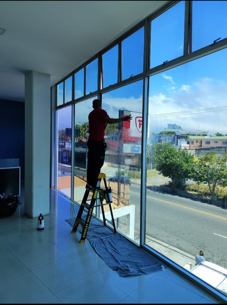 polarizado comercial